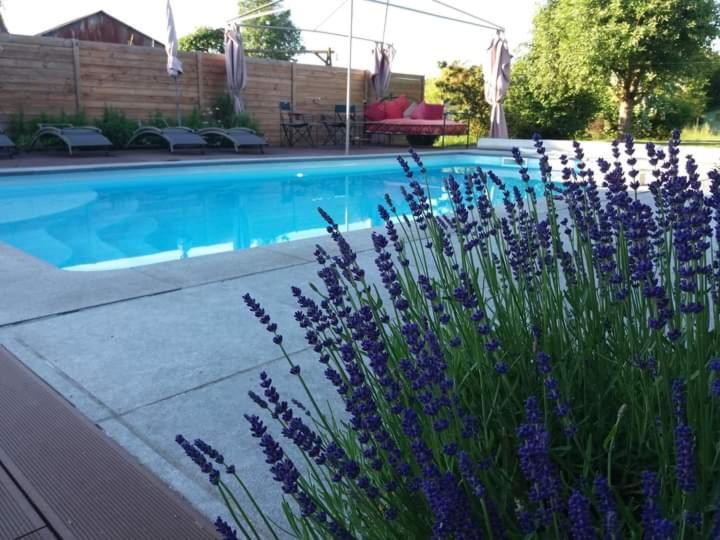 Chambres D Hotes ,Hotel ,Secret D'Une Nuit A Vicq Pres De Valenciennes,Onnaing,Saint Saulve Avec Piscine Luaran gambar