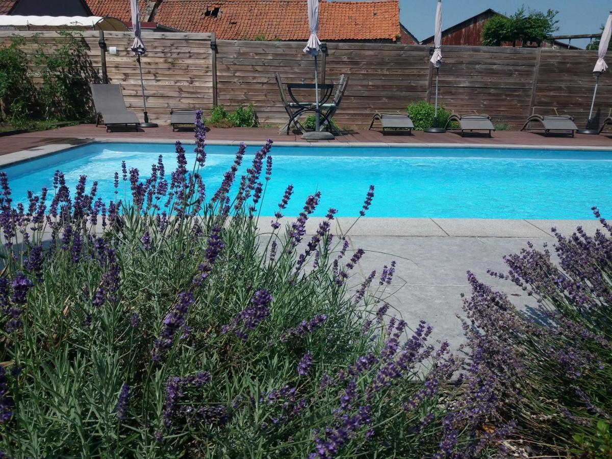 Chambres D Hotes ,Hotel ,Secret D'Une Nuit A Vicq Pres De Onnaing,Avec Piscine Luaran gambar